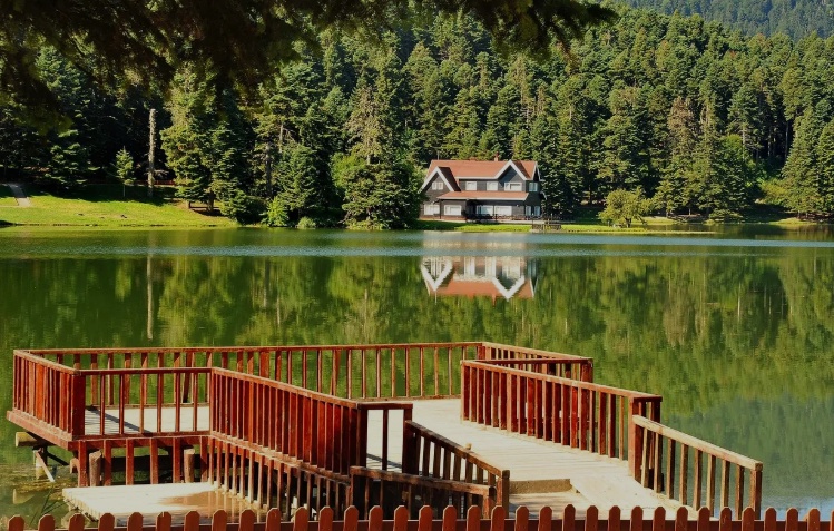 Bolu'da Orman Yangınlarına Karşı Ek Tedbirler: Ateşli Piknik Yasaklandı