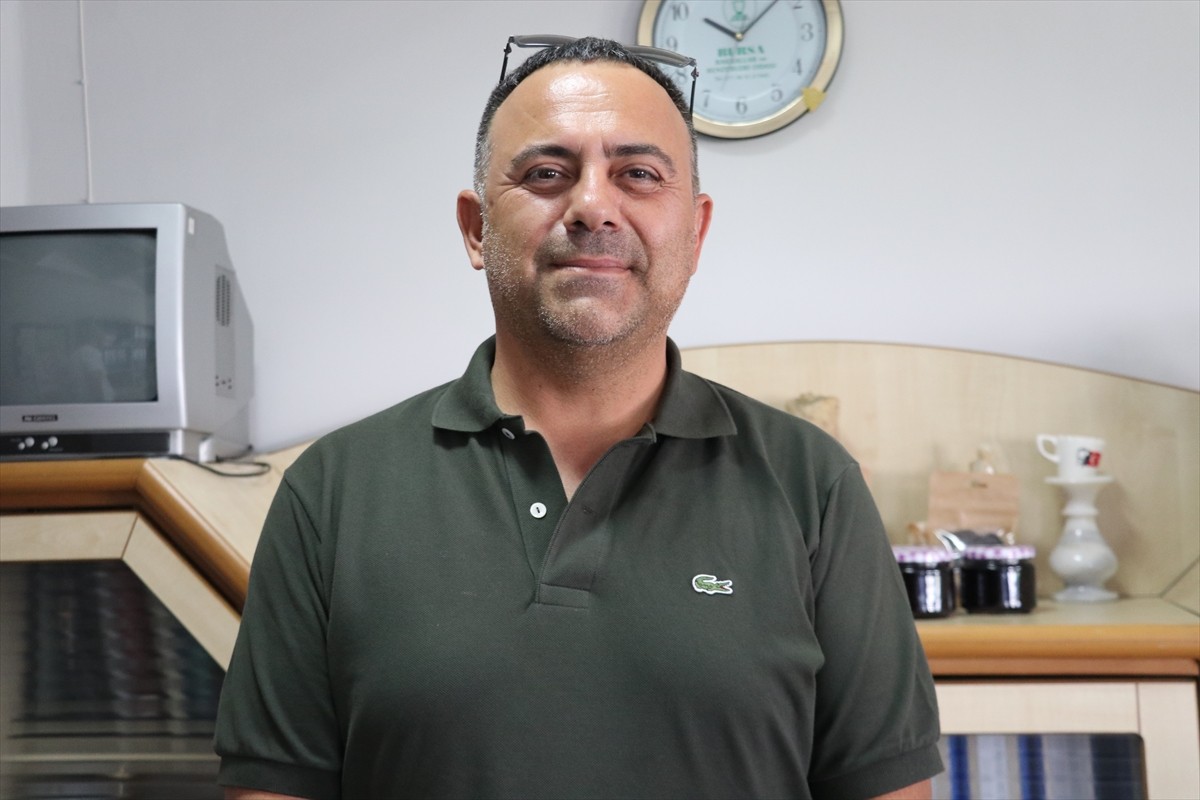 Bursa'da 7 ilçede yaklaşık 5 bin dekar alanda yaban mersini üretimi yapan ve Uludağ Blueberry...