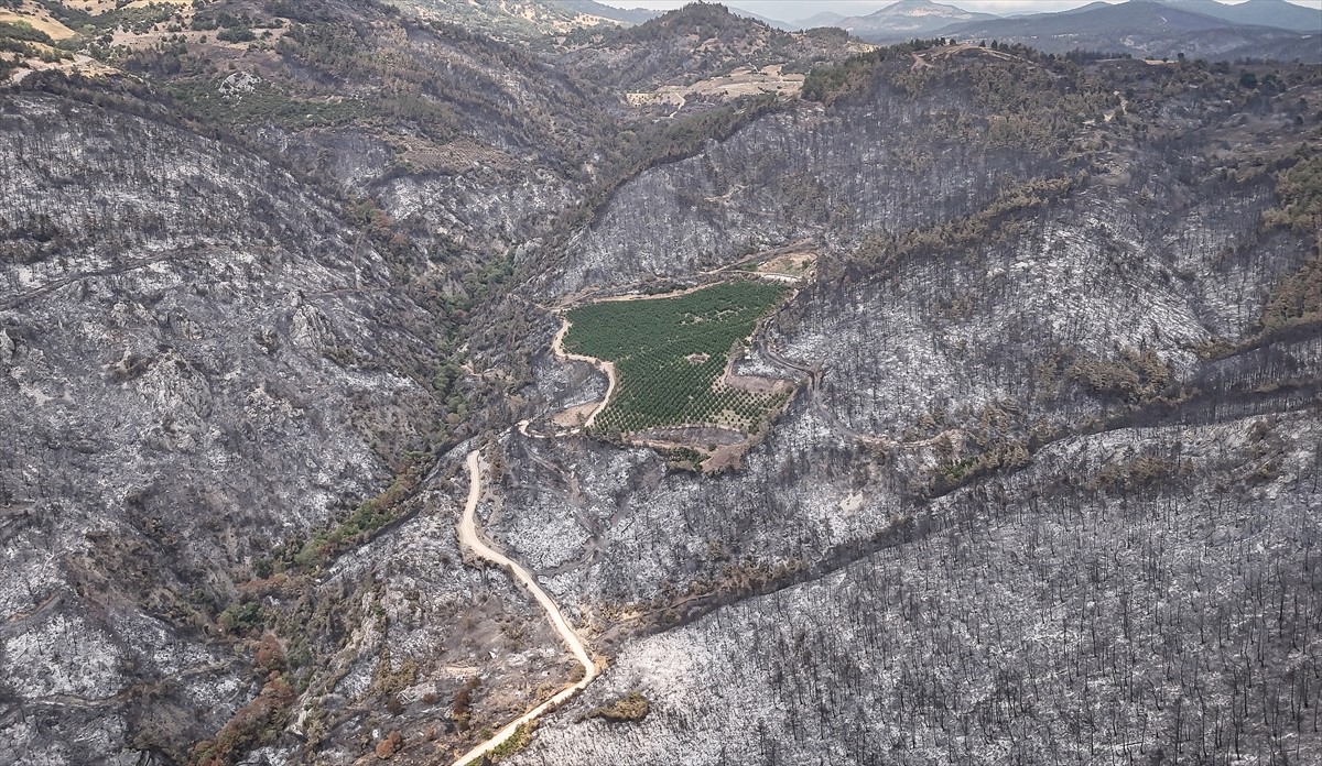Bursa'nın Gürsu ve Kestel ilçeleri arasında çıkan yangında, çevresindeki orman küle dönen 48...