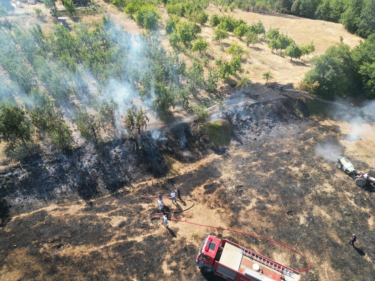Bursa'nın İnegöl ilçesinde boş arazide çıkan yangın, ormana sıçramadan söndürüldü.