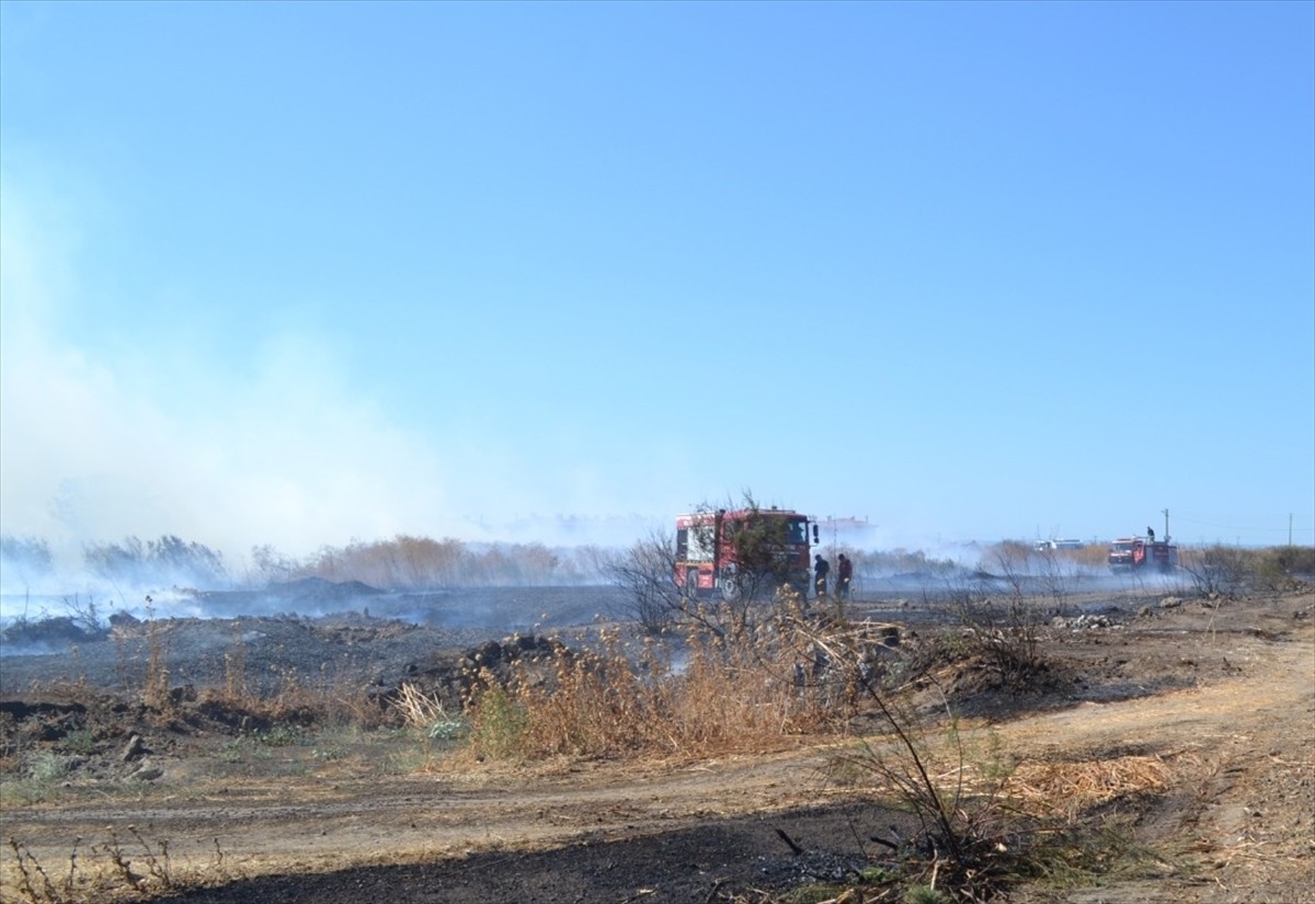 Bursa'nın Mustafakemalpaşa ilçesinde çalılık alanda çıkan yangın söndürüldü.