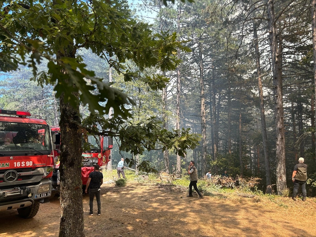 Bursa'nın Mustafakemalpaşa ilçesindeki ormanlık alanda çıkan yangına havadan ve karadan müdahale...