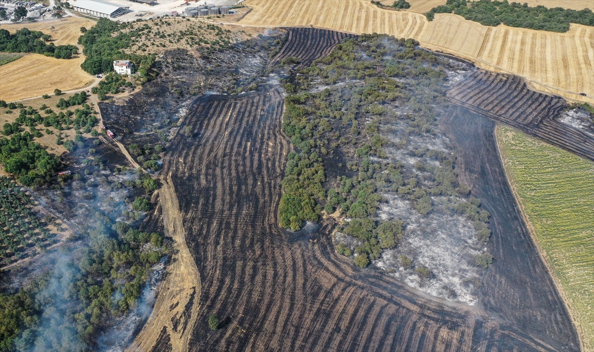 Bursa'nın Nilüfer ilçesinde arazide başlayan yangın ormana sıçramadan kontrol altına...
