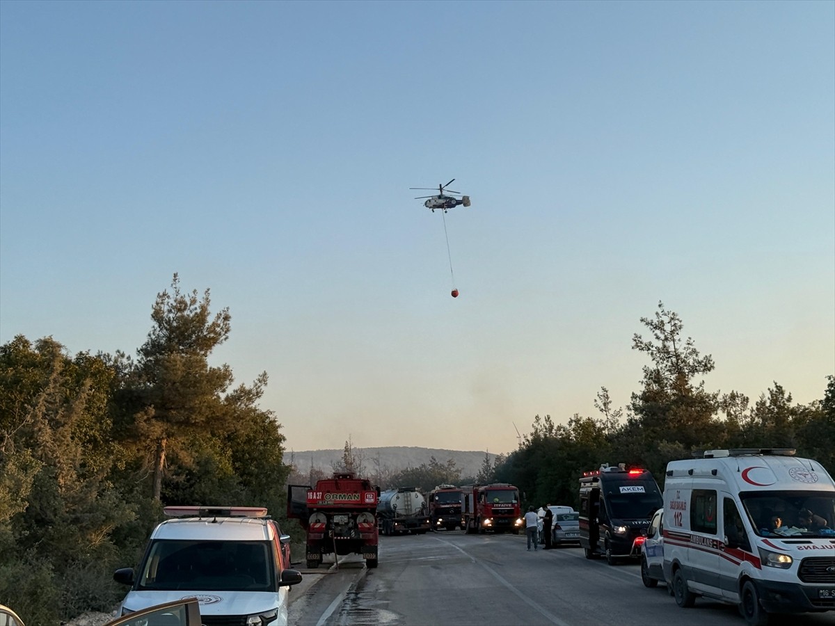 Bursa'nın Nilüfer ilçesinde çıkan orman yangınına havadan ve karadan müdahale ediliyor.