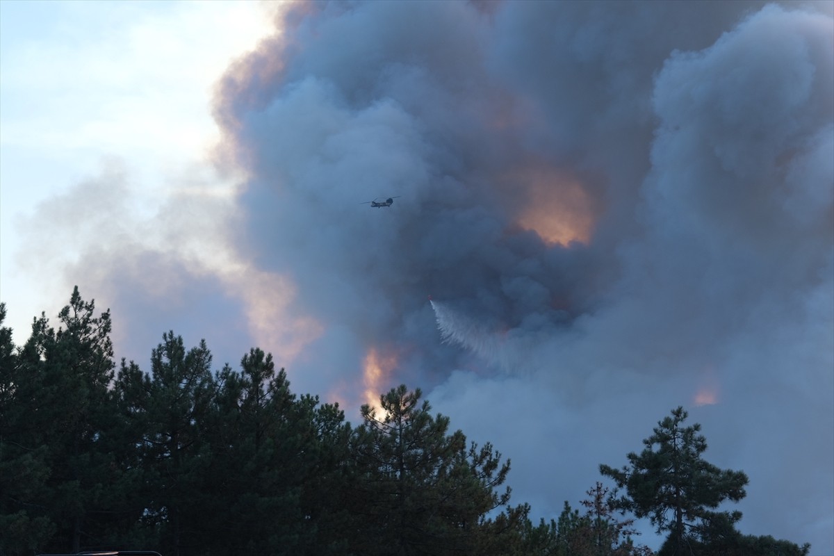 Bursa'nın Orhaneli ilçesinde çıkan orman yangınına havadan ve karadan müdahale sürüyor.