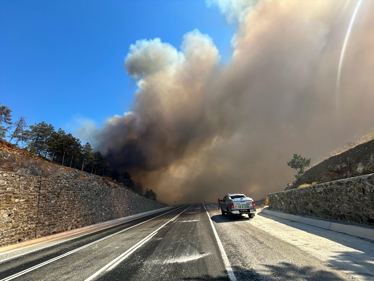 Bursa'nın Orhaneli ilçesinde çıkan orman yangınına havadan ve karadan müdahale sürüyor.