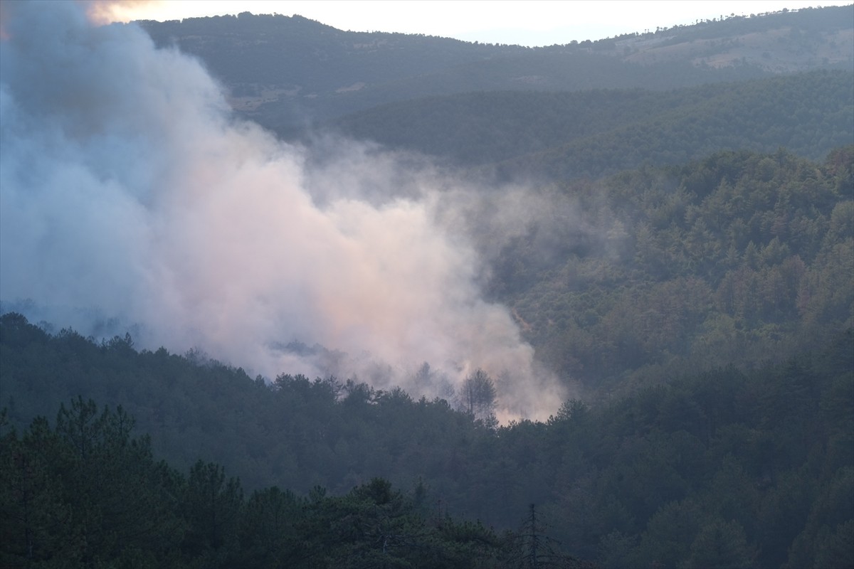 Bursa'nın Orhaneli ilçesinde çıkan orman yangınına havadan ve karadan müdahale sürüyor.