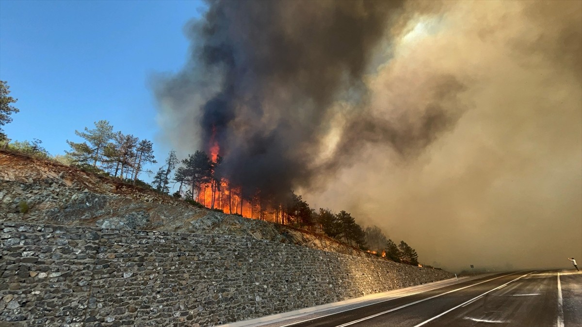 Bursa'nın Orhaneli ilçesinde çıkan orman yangınına havadan ve karadan müdahale sürüyor.