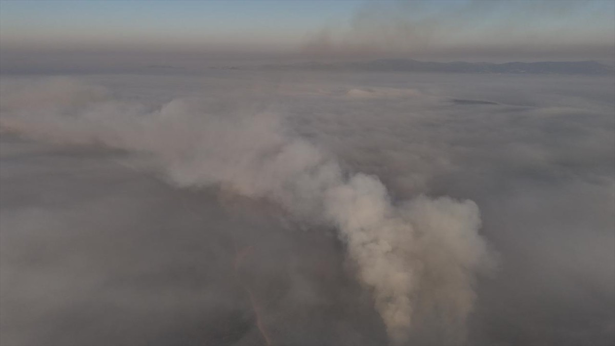 Bursa'nın Orhaneli ve Harmancık ilçelerindeki orman yangınına müdahale sürüyor. Yangın nedeniyle...