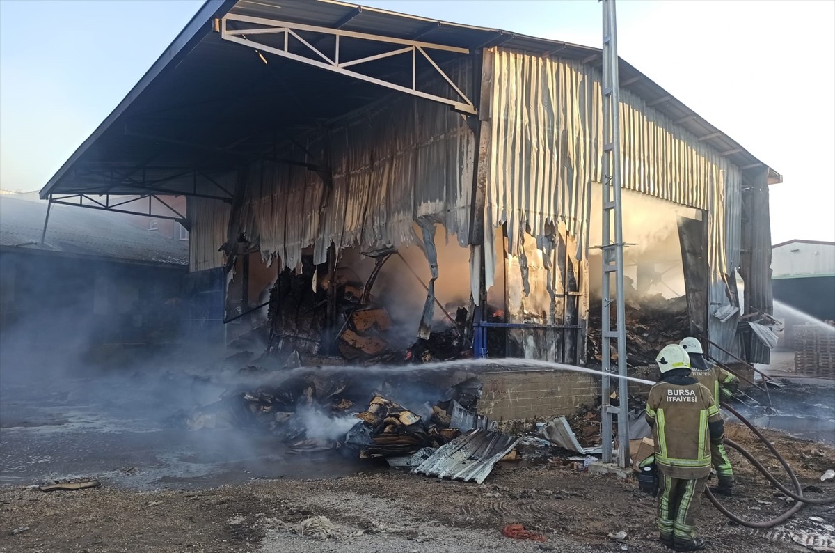 Bursa'nın Yenişehir ilçesinde faaliyet gösteren meyve sebze paketleme tesisinde çıkan yangın...