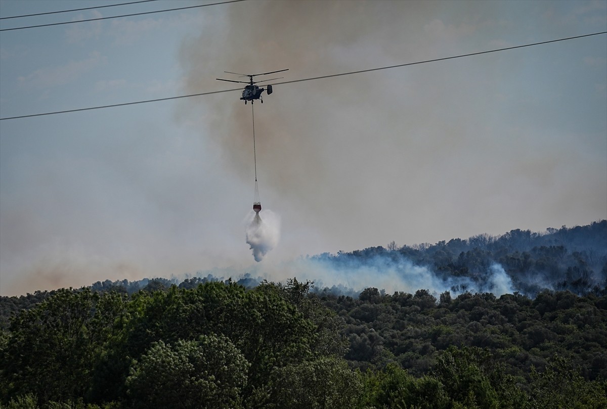 Bursa’nın Nilüfer ilçesinde çıkan orman yangınına müdahale ediliyor.