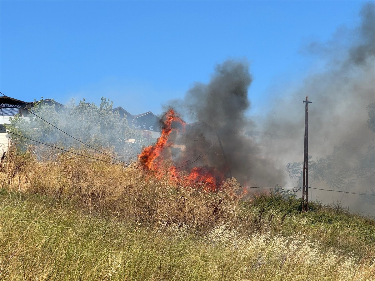 Büyükçekmece'de otluk alanda çıkan yangına itfaiye ekiplerince müdahale ediliyor. 