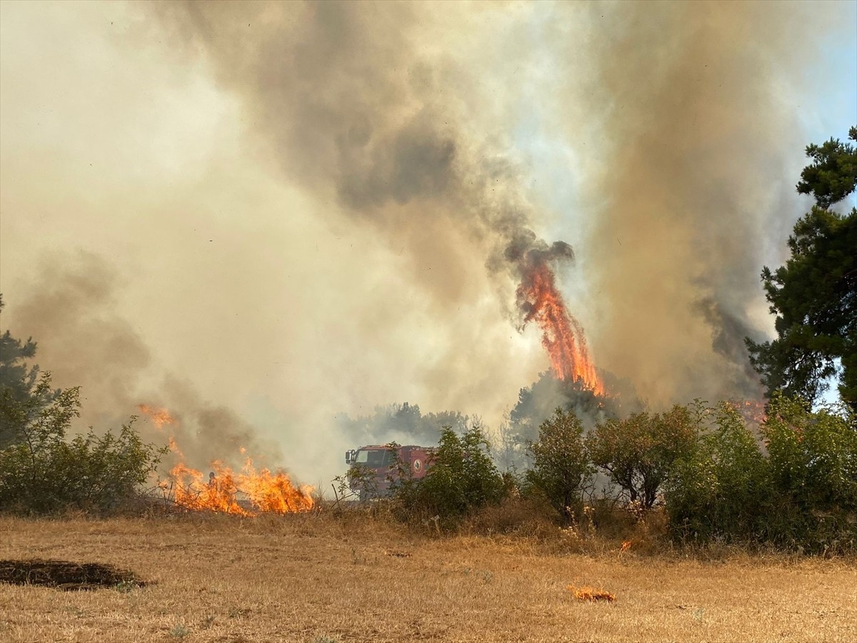 Çanakkale'nin Ezine ilçesinde çıkan orman yangınına havadan ve karadan müdahale ediliyor.