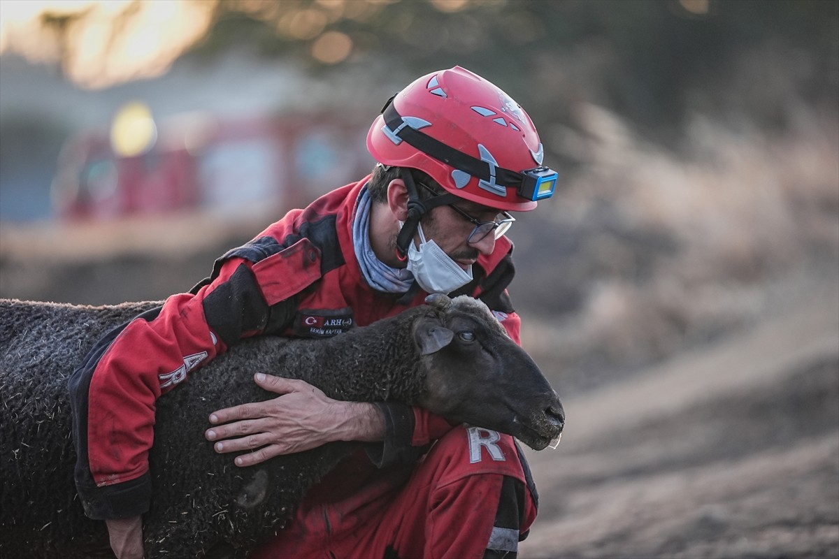 Çanakkale'nin Gelibolu ilçesindeki orman yangınında görevli arama kurtarma gönüllüleri, alevlerin...