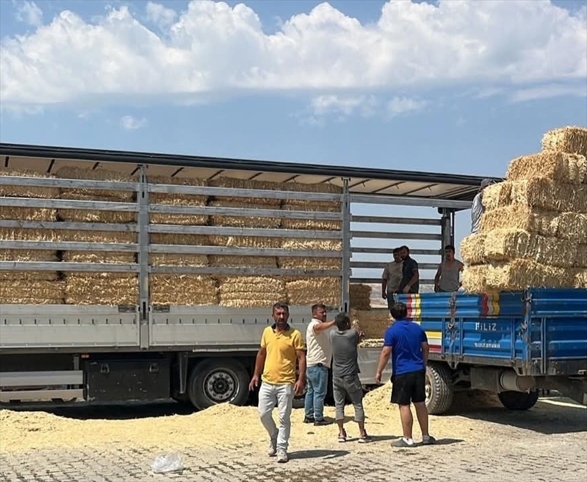 Çankırı'dan Karabük'te meydana gelen orman yangınından etkilenen çiftçilere 3 tır yardım...