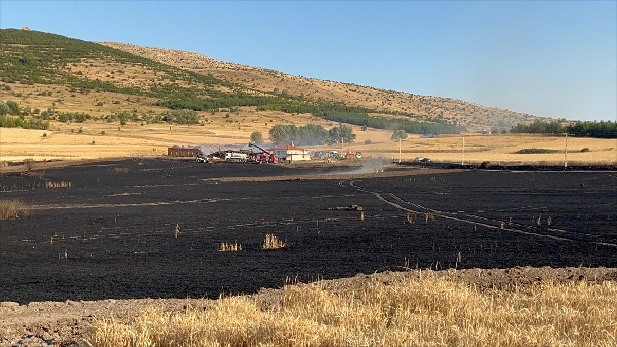 Çankırı'nın Çerkeş ilçesine bağlı Saçak beldesinde çıkan yangında yaklaşık 100 dekar ekili arazi...