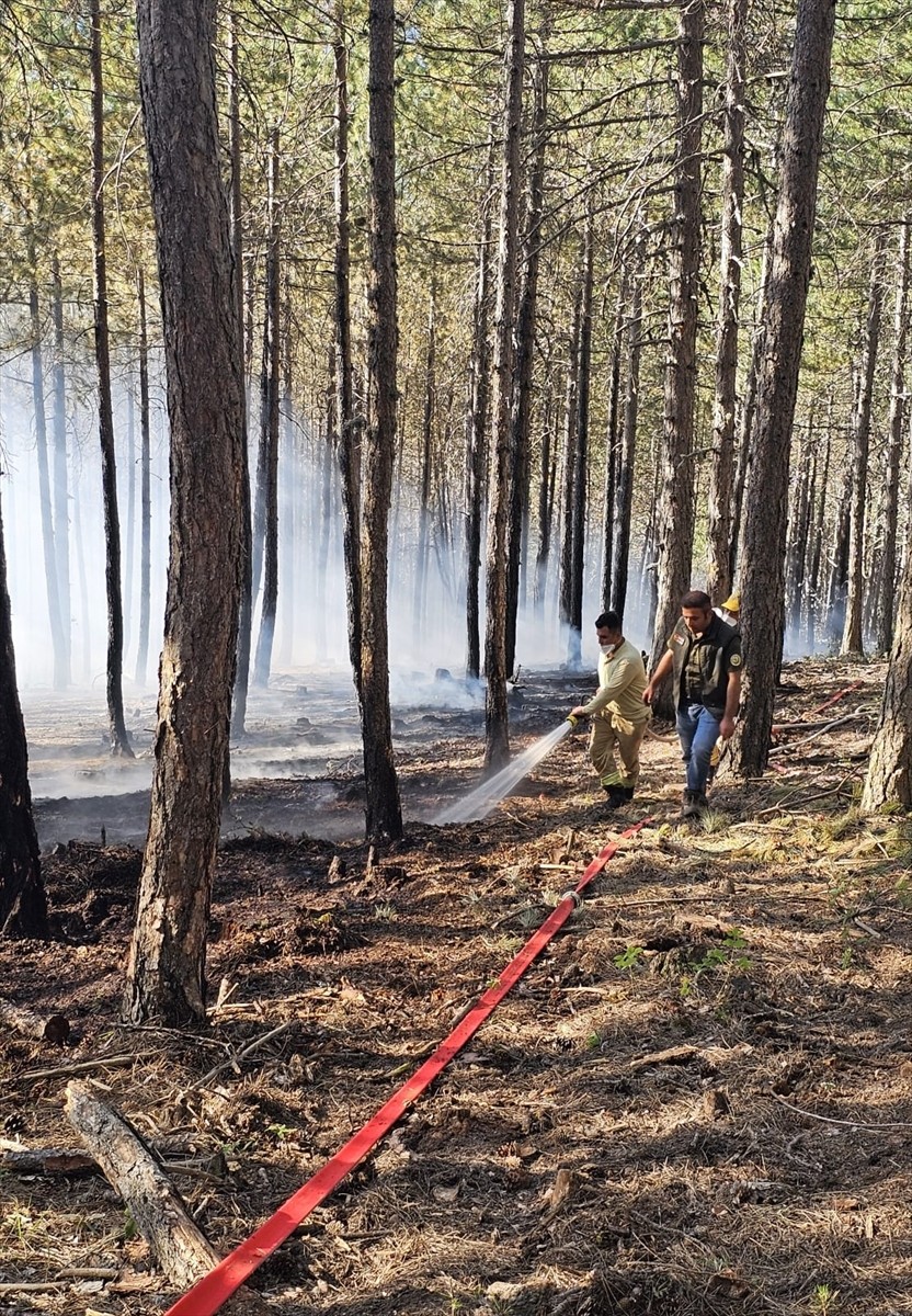 Çankırı'nın Ilgaz ilçesindeki ormanlık alanda çıkan yangın kontrol altına alındı.