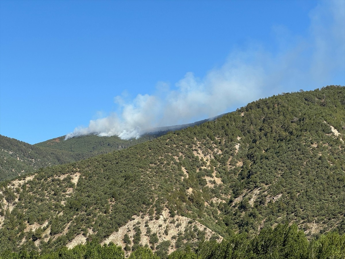 Çankırı'nın Ilgaz ilçesindeki ormanlık alanda çıkan yangına ekipler müdahale ediyor. 