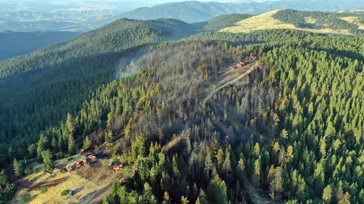 Çankırı'nın Yapraklı ilçesinde havadan ve karadan müdahale ile kontrol altına alınan yangında...