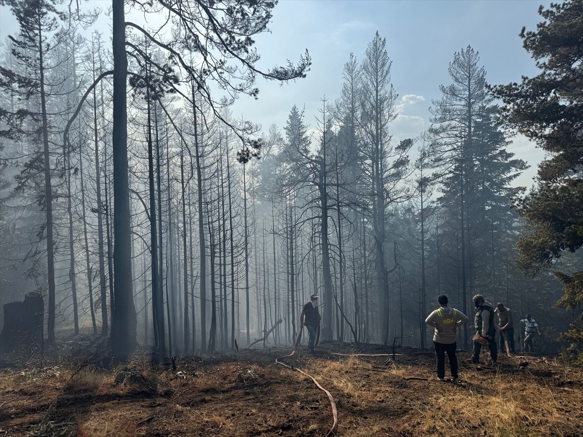 Çankırı'nın Yapraklı ilçesinde ormanlık alanda çıkan yangına müdahale ediliyor.