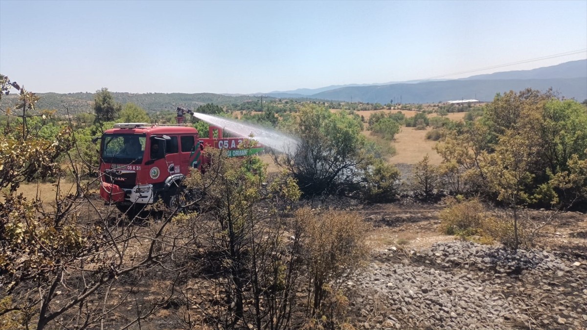 Çorum'un Kargı ilçesinde ormanlık alanda çıkan yangın, ekiplerce büyümeden söndürüldü.