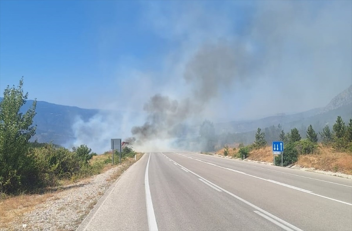 Çorum'un Kargı ilçesinde ormanlık alanda çıkan yangın, ekiplerce büyümeden söndürüldü.