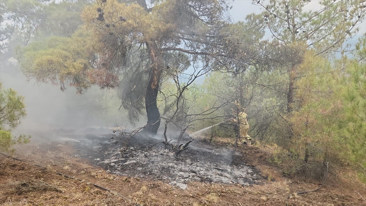 Çorum'un Kargı ilçesinde yıldırım düşmesi sonucu ormanlık alanda 2 ayrı noktada çıkan yangın...