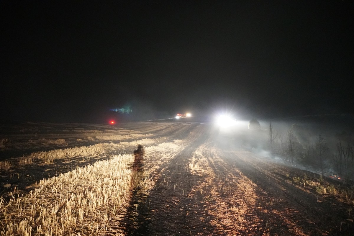 Çorum'un Osmancık ilçesinde tarlada çıkan ve ormanlık alana sıçrayan yangın söndürüldü.