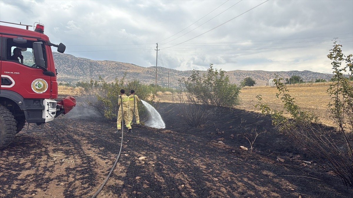 Diyarbakır'ın Dicle, Hazro ve Lice ilçelerinde ormanlık ve tarım arazilerinde çıkan yangınlar...
