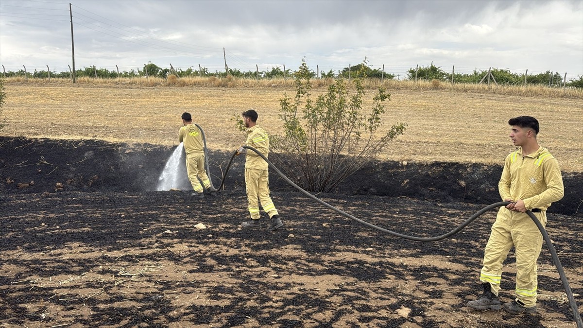 Diyarbakır'ın Dicle, Hazro ve Lice ilçelerinde ormanlık ve tarım arazilerinde çıkan yangınlar...