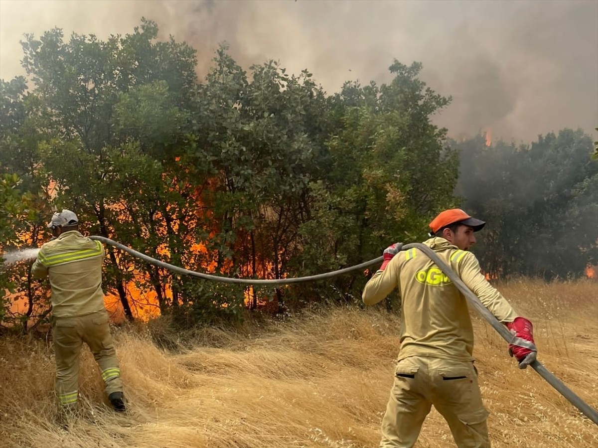  Diyarbakır'ın Lice ilçesi kırsalında ormanlık alanda çıkan yangın ekiplerin müdahalesiyle...