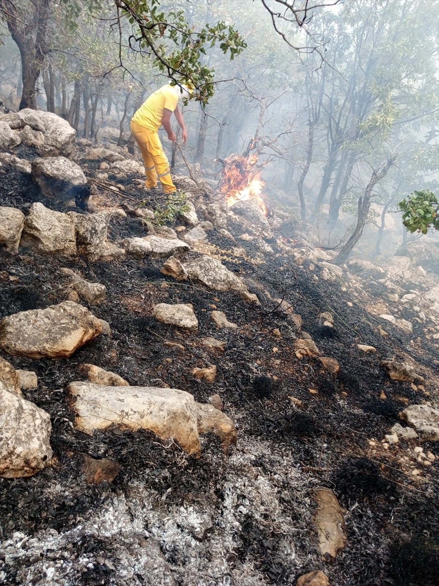 Diyarbakır'ın Lice ilçesi kırsalında ormanlık alanda çıkan yangına müdahale ediliyor. Kırsal Duru...