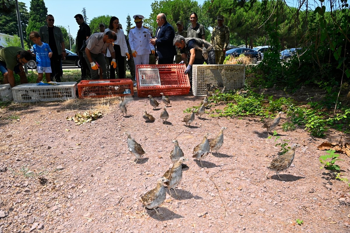 Doğa Koruma ve Milli Parklar Genel Müdürlüğü tarafından 2025 yılı salım programı kapsamında...