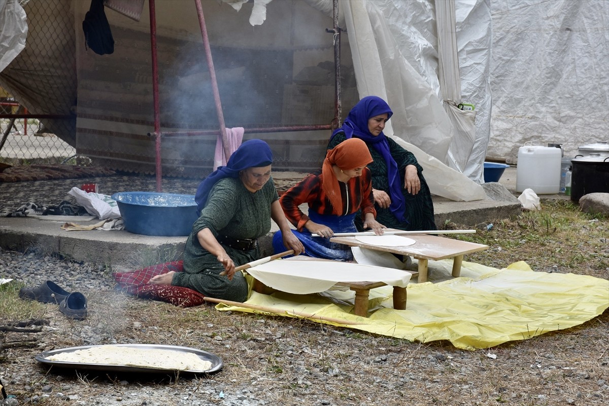 Doğu ve Güneydoğu Anadolu'dan fındık toplamak üzere Ordu'ya gelen mevsimlik tarım işçileri...