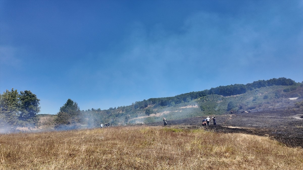 Düzce&#039;nin Yığılca ilçesinde çıkan örtü yangını kontrol altına alındı.