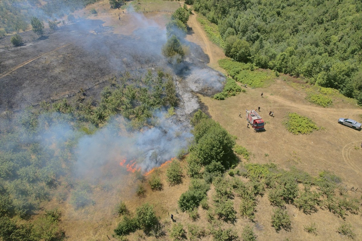 Düzce&#039;nin Yığılca ilçesinde çıkan örtü yangını kontrol altına alındı.