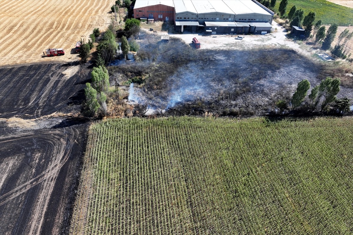 Edirne'de buğday tarlasında çıkan yangın itfaiye ekiplerince söndürüldü.