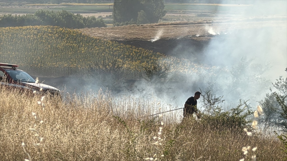 Edirne'de, Değirmenyeni köyünde buğday tarlasında çıkan yangın ekiplerce söndürüldü. Yangında 400...