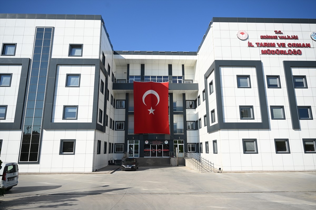 Edirne'de kamu kurumu binalarına "Terörsüz Türkiye"ye destek için Türk bayrağı asıldı.