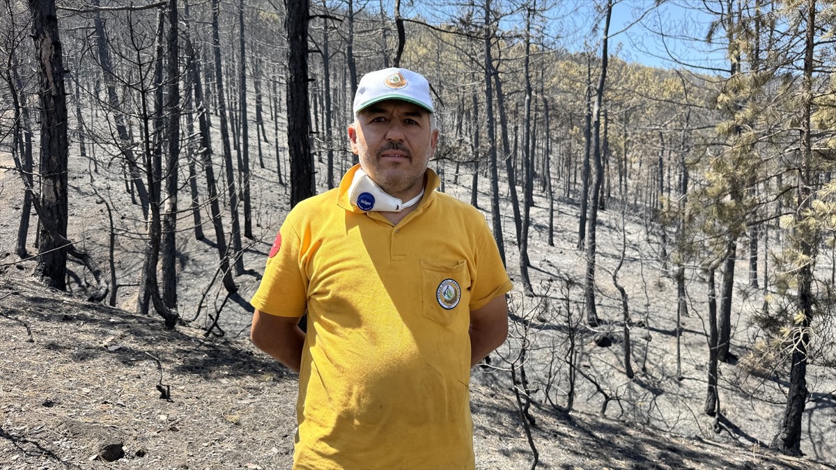 Eskişehir'in Seyitgazi ilçesinde çıkan orman yangınında alevler arasında kalan Eskişehir Orman...