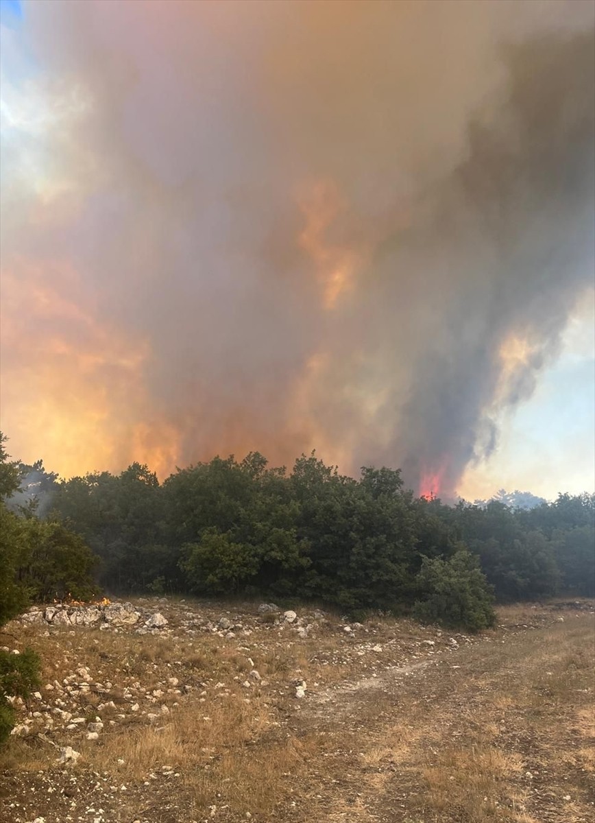 Eskişehir'in Seyitgazi ilçesinde ormanlık alanda çıkan yangına müdahale ediliyor.