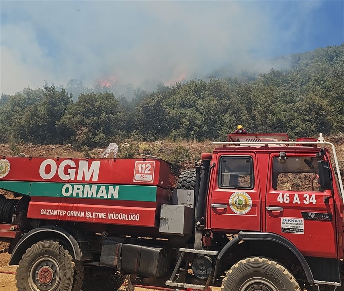 Gaziantep'in Nurdağı ilçesinde çıkan orman yangını kontrol altına alındı.