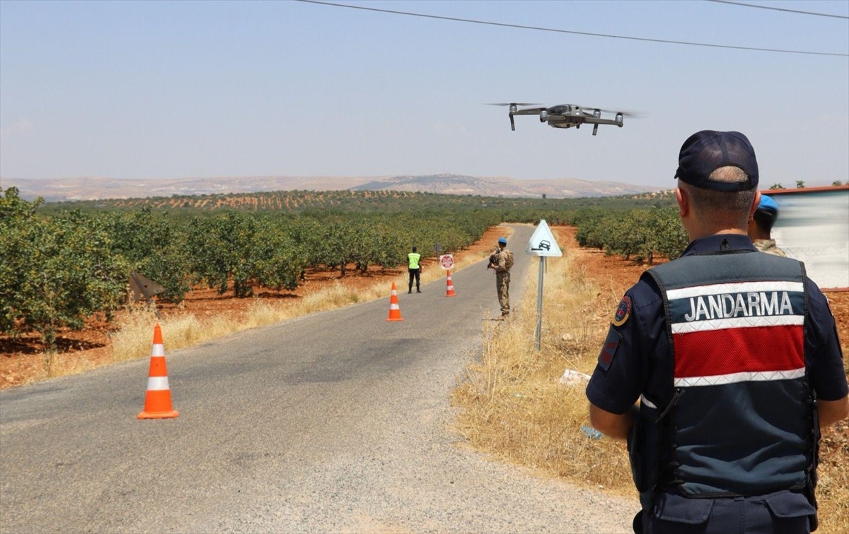 Gaziantep'te hasat sezonunun yaklaşmasıyla birlikte jandarma Antep fıstığı için nöbete...