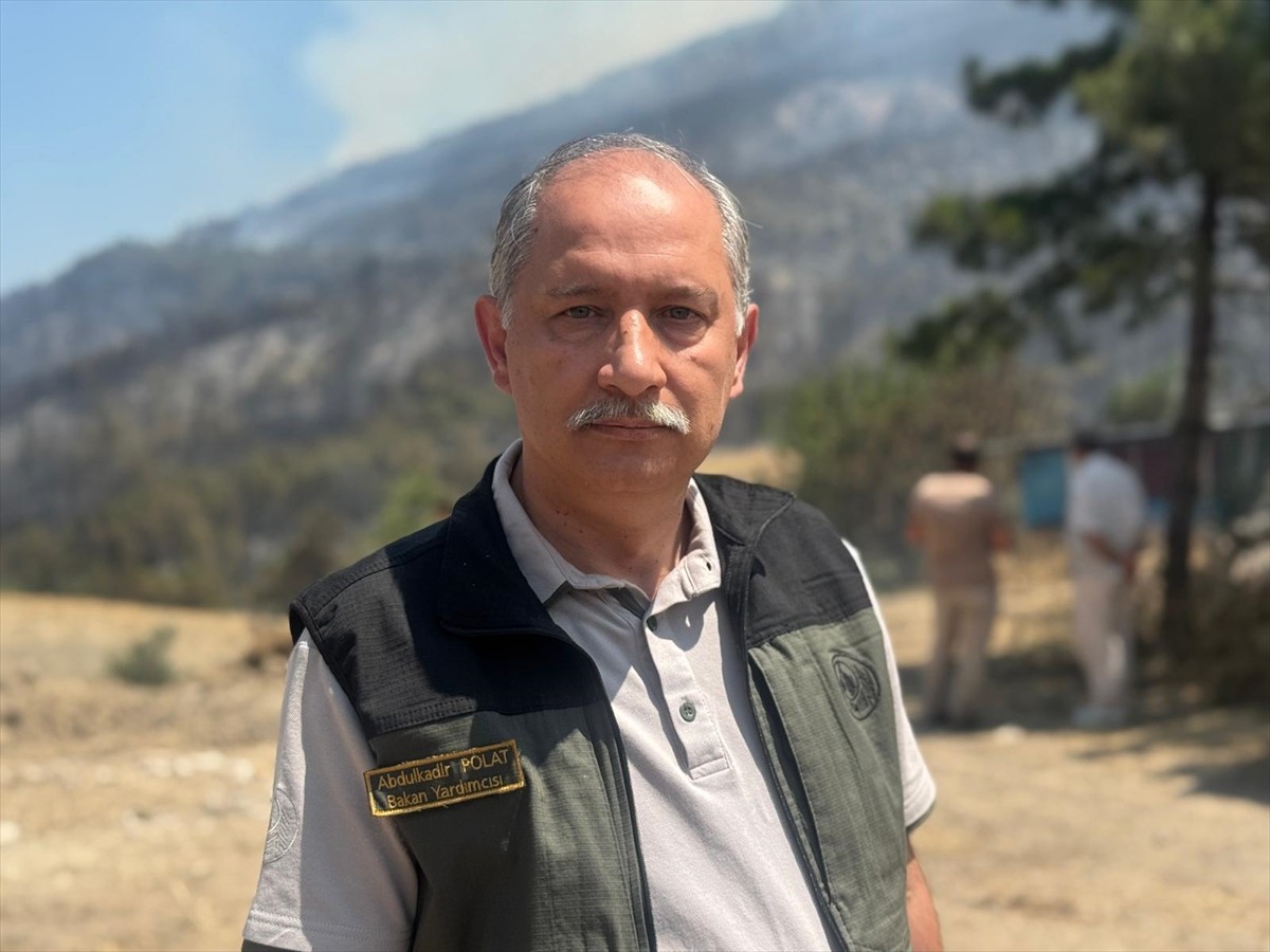 Geyve ilçesinde dün çıkan orman yangını sonrası boşaltılan Taşoluk Mahallesi'ne gelen Tarım ve...