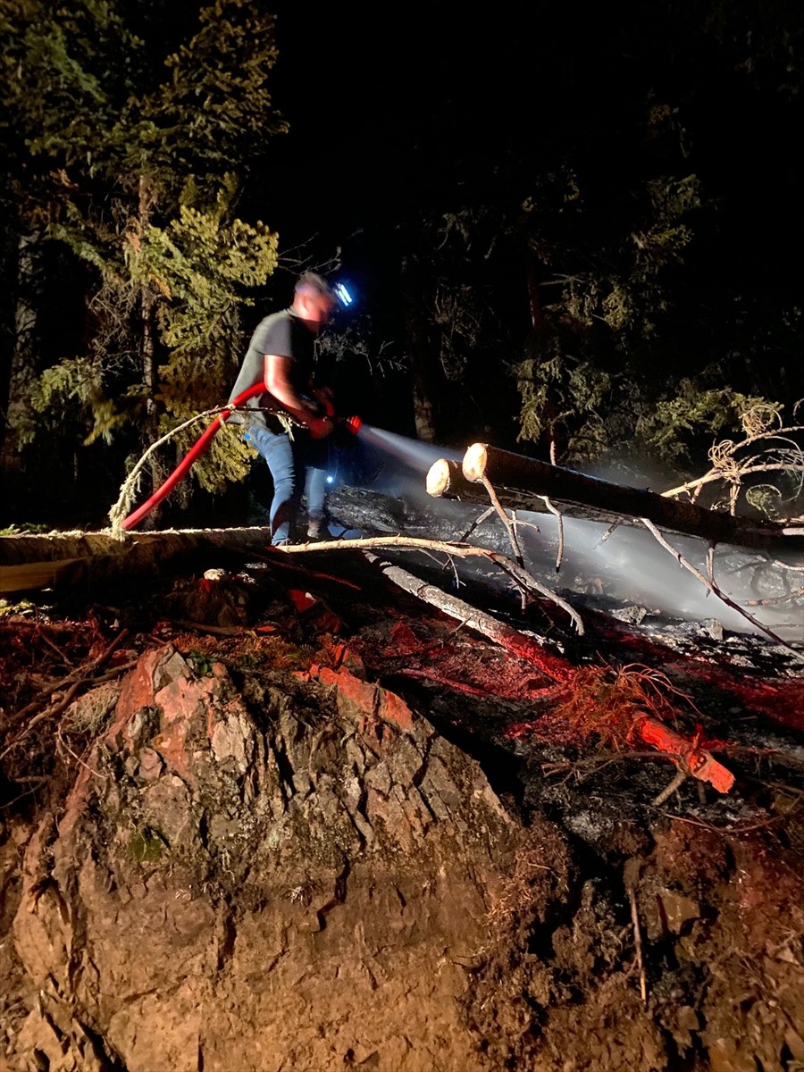 Gümüşhane'de ormanlık alanda çıkan yangın, itfaiye ekiplerinin müdahalesiyle söndürüldü.