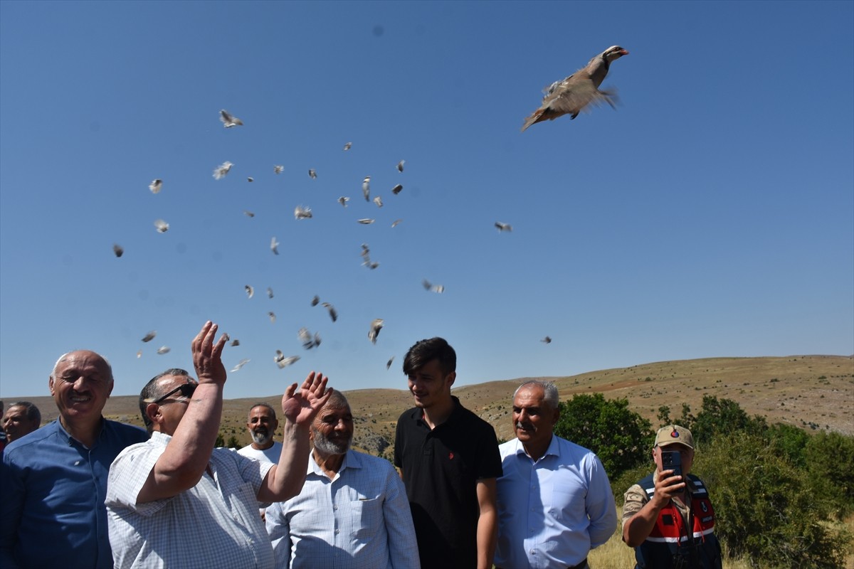Gümüşhane'nin Kelkit ilçesinde, Doğa Koruma ve Milli Parklar Genel Müdürlüğü bünyesinde faaliyet...