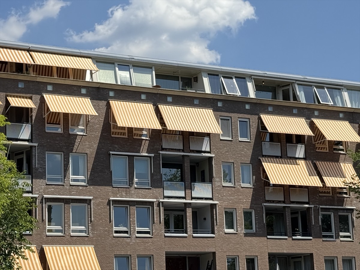 Hollanda Meteoroloji Enstitüsü (KNMI), aşırı sıcaklıklar nedeniyle ülkenin Noord-Brabant...