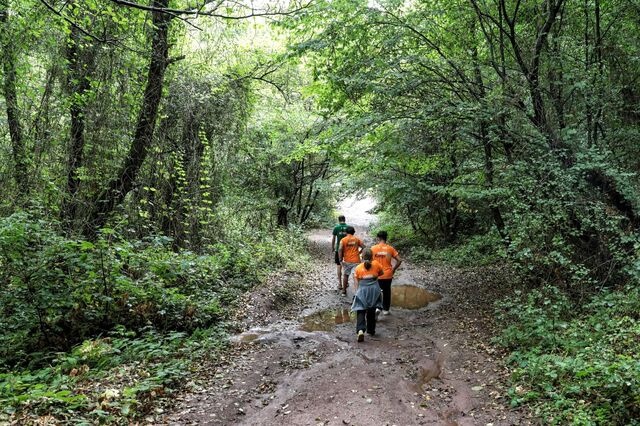 İBB, 9-13 Yaş Çocuklar için Ücretsiz Doğa Kampı Başlatıyor