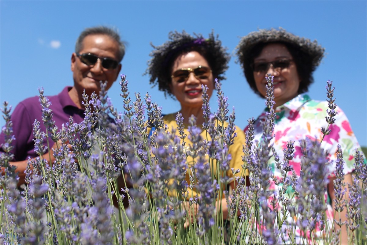 Isparta'nın Keçiborlu ilçesinde "lavanta kokulu köy" olarak anılan Kuyucak'taki lavanta bahçeleri...