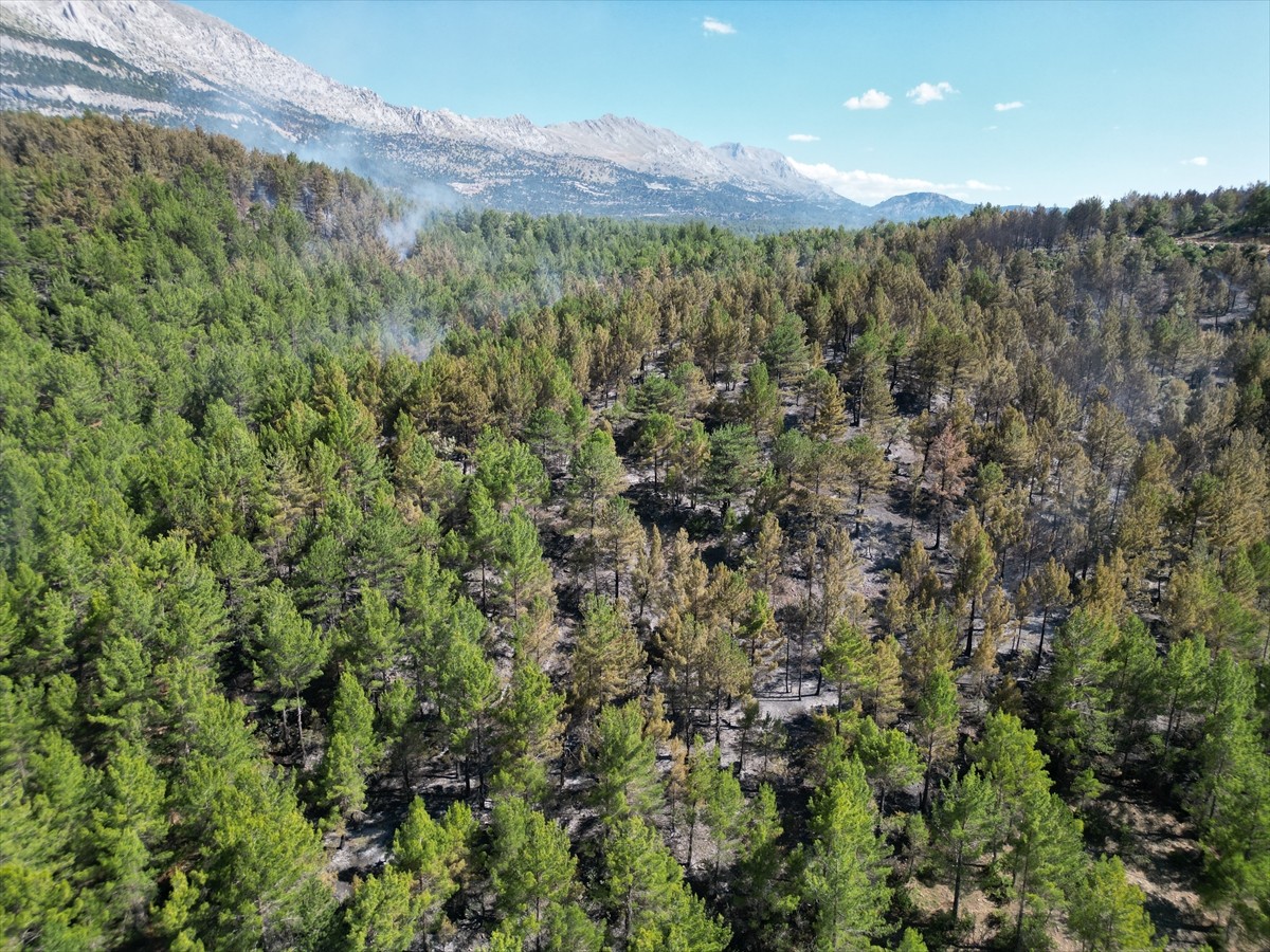 Isparta'nın Sütçüler ilçesinde çıkan orman yangını kontrol altına alındı.  